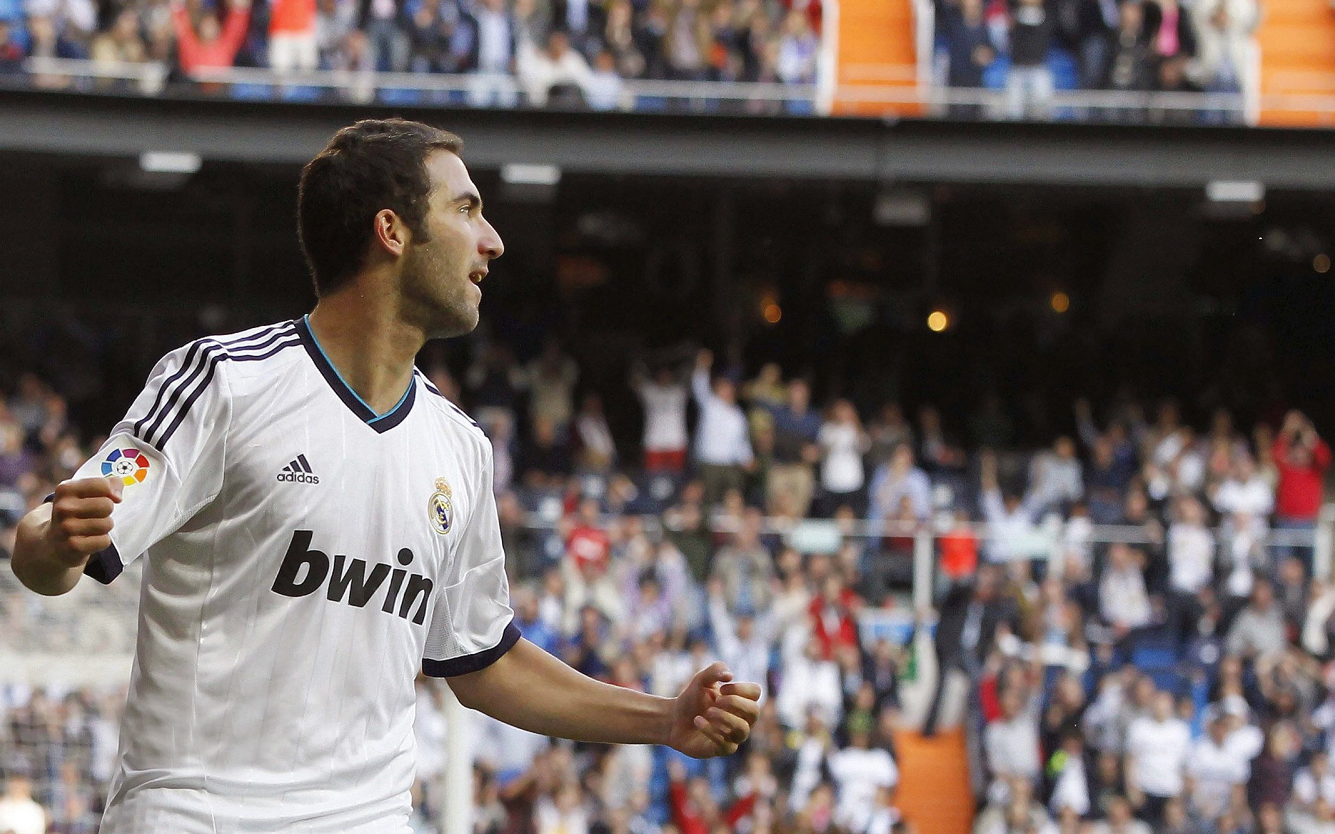 美洲杯明星闪耀：激情拼搏点亮赛场！，美洲杯有哪些明星